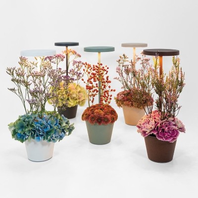 Zafferano Επιτραπέζιο Φωτιστικό Poldina Reverso table lamp Λευκή απόχρωση