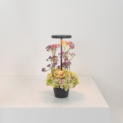 Zafferano Επιτραπέζιο Φωτιστικό Poldina Reverso table lamp Σκούρο Γκρι απόχρωση