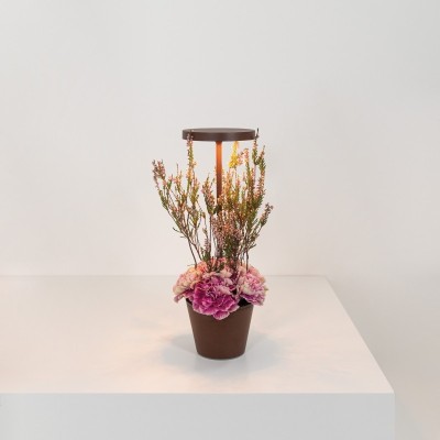 Zafferano Επιτραπέζιο Φωτιστικό Poldina Reverso table lamp Σκούρο Καφέ απόχρωση