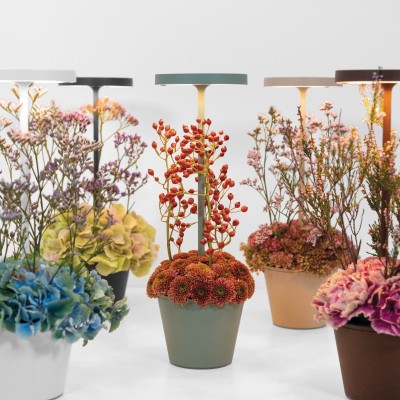 Zafferano Επιτραπέζιο Φωτιστικό Poldina Reverso table lamp Σκούρο Καφέ απόχρωση