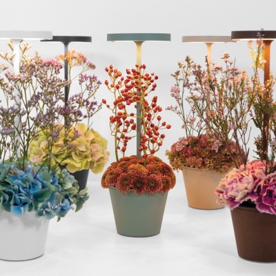 Zafferano Επιτραπέζιο Φωτιστικό Poldina Reverso table lamp Βεραμάν απόχρωση